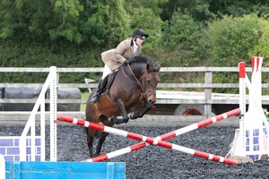 Class 3 -  Fences not above 2'3